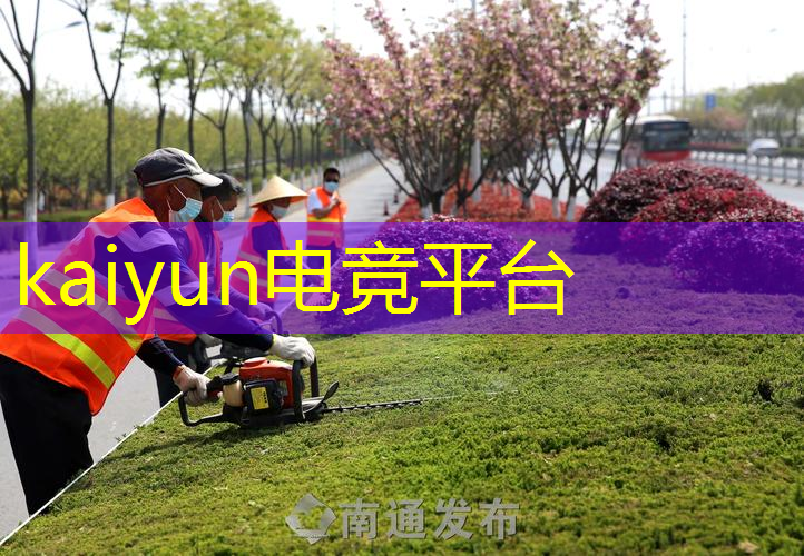 挖矿游戏3d破解版中文