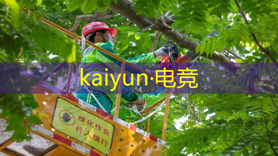 开云电竞：僵尸前线3d游戏5区首领