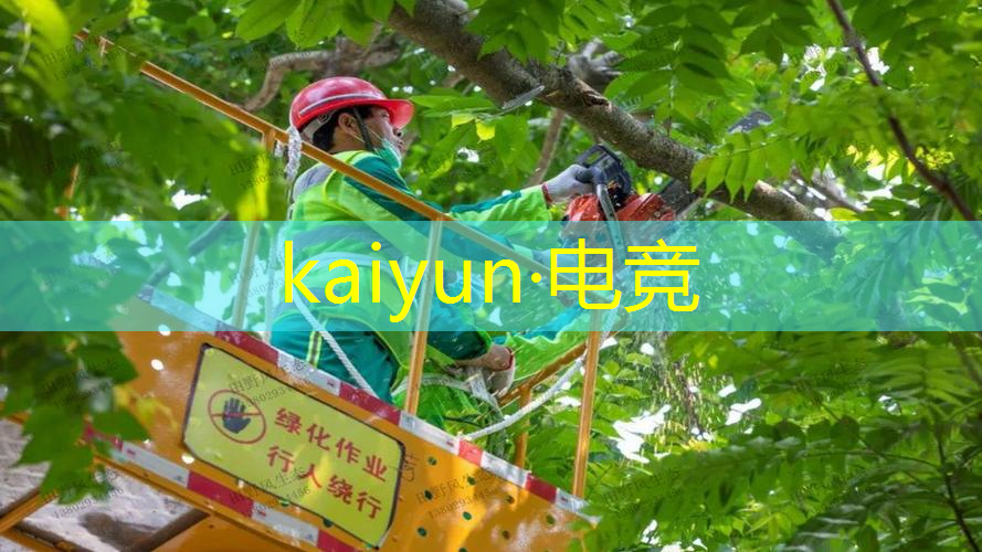 kaiyun电竞官方网站入口：乐高第一视角3d射击游戏