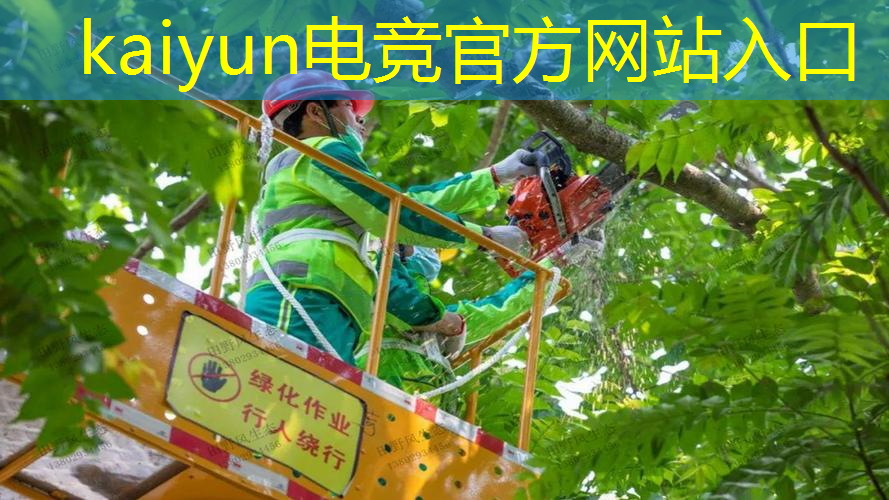 kaiyun电竞官方网站入口：狼人对决卡牌游戏原画