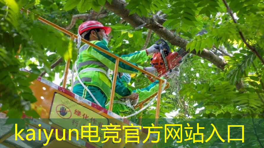 守城游戏抖音小游戏入口小程序