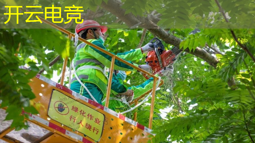 kaiyun电竞官方网站入口：命运之子游戏原画金亨泰