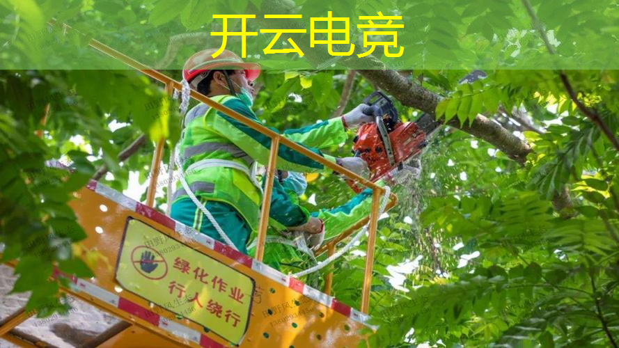 kaiyun电竞平台：程序猿角色游戏攻略第二章