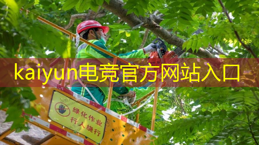 kaiyun电竞官方网站入口：游戏角色原画设计核心理念