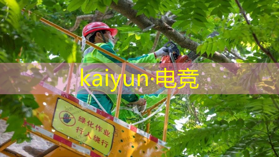 kaiyun·电竞：木工高手小游戏 程序攻略