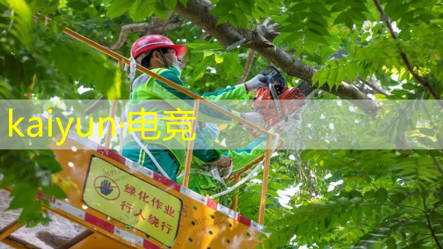 kaiyun电竞平台：乙女抖音小程序游戏