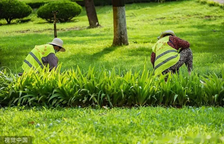 说唱歌手3d艺术游戏