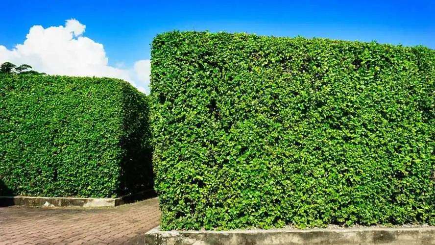 青年电竞大赛花式足球：如何平衡游戏与足球训练的时间安排？