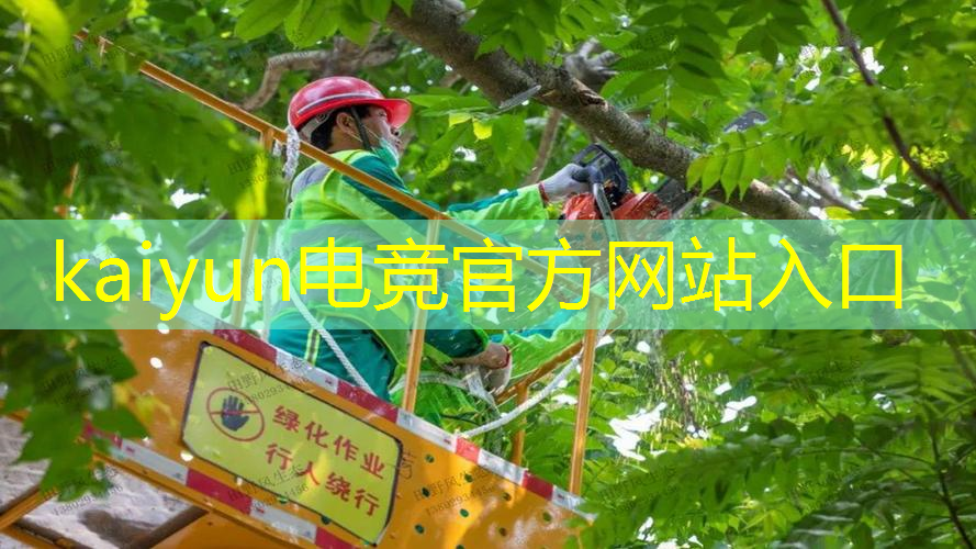 僵尸前线3d游戏5区首领
