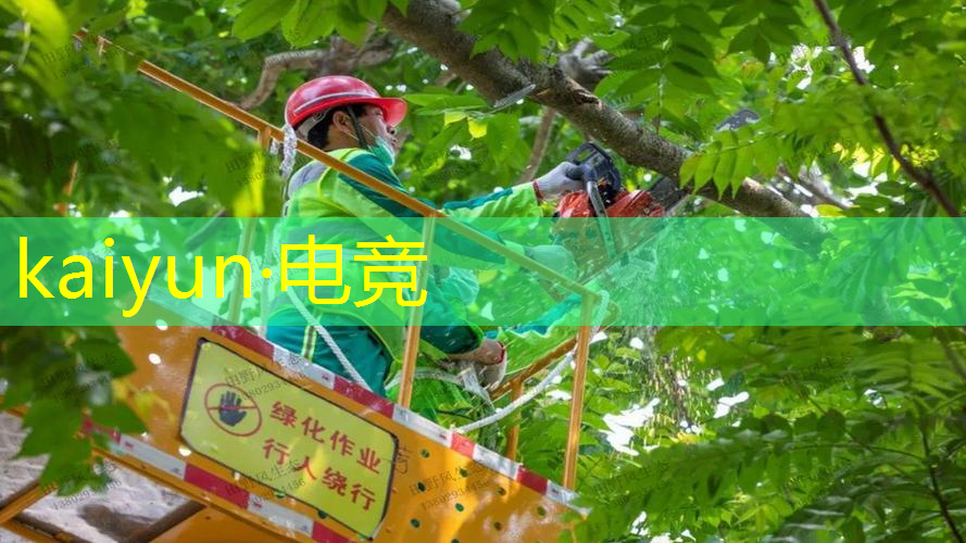 狼人对决卡牌游戏原画