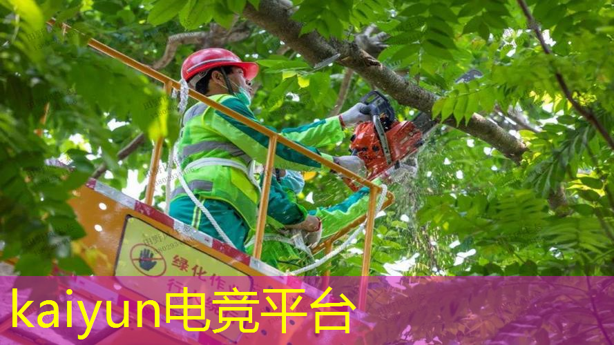 火影单机3d手机游戏推荐