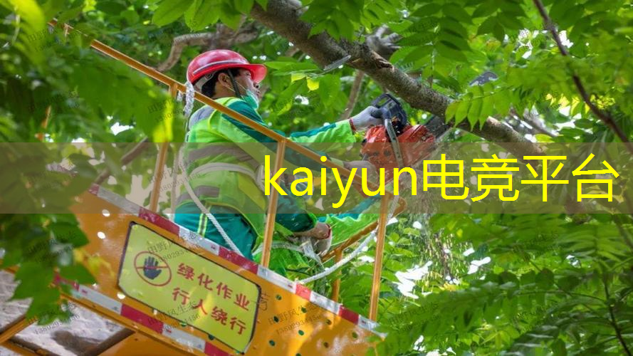 命运之子游戏原画金亨泰