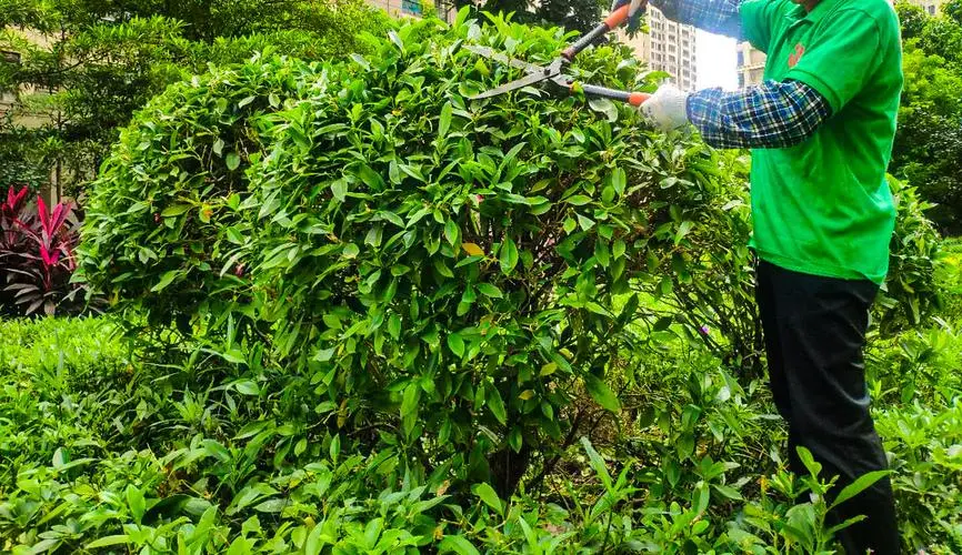 游戏的乐园小程序下的游戏