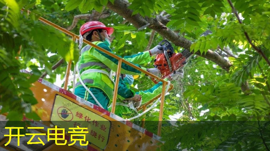 和平精英3d体感游戏有哪些