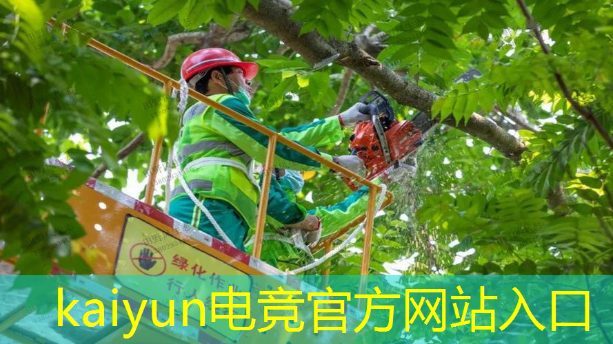 友塔游戏原画设计师