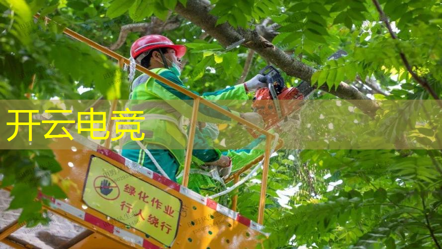乙女抖音小程序游戏